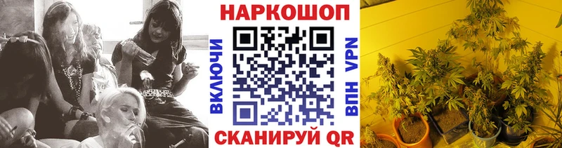 Купить наркотики сайты Новомичуринск Гашиш Меф мяу мяу