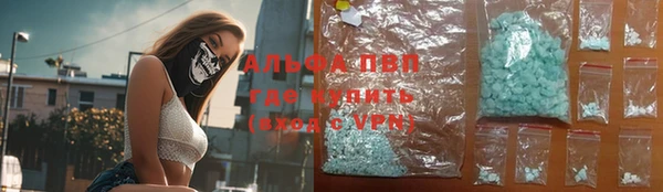шишки Алзамай