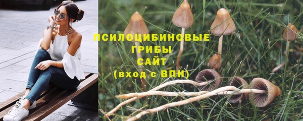 крисы Алексин