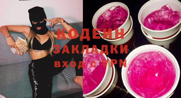 шишки Алзамай